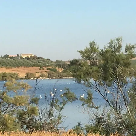 In - Beautiful At The Heart Of Andalusia * Puente Genil