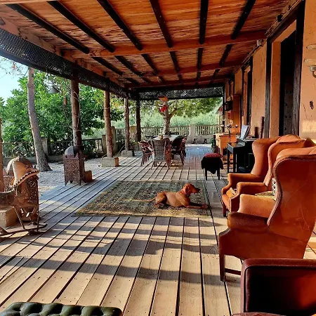 In - Beautiful At The Heart Of Andalusia *